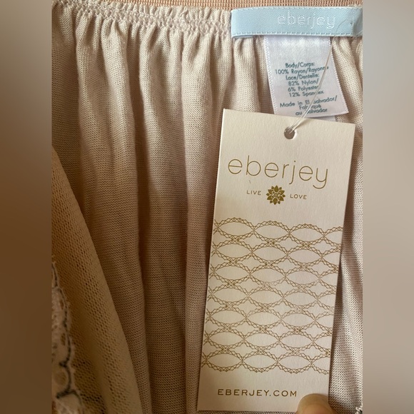 Eberjey Cassandra Babydoll Moonbeam Chemise Size Small NWT - Picture 4 of 10